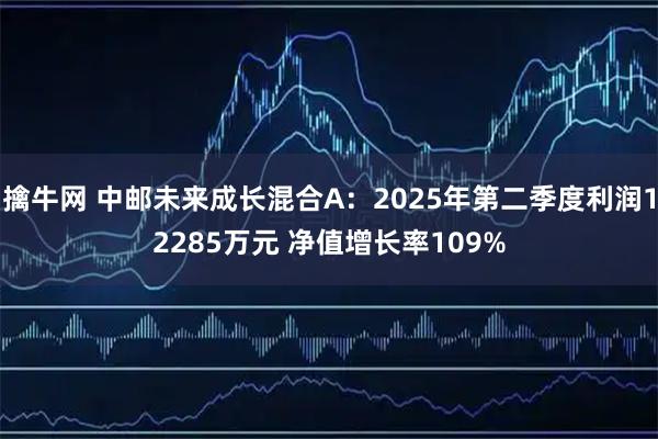 擒牛网 中邮未来成长混合A:2025年第二季度利润12285万元 净值增长率109%