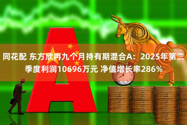 同花配 东方欣冉九个月持有期混合A:2025年第二季度利润10696万元 净值增长率286%