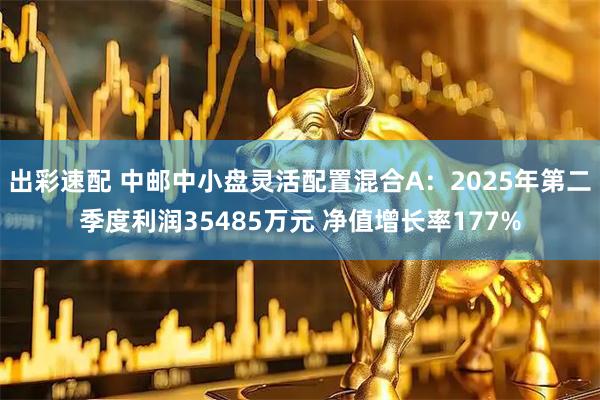 出彩速配 中邮中小盘灵活配置混合A:2025年第二季度利润35485万元 净值增长率177%