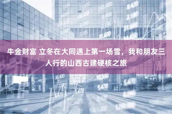 牛金财富 立冬在大同遇上第一场雪，我和朋友三人行的山西古建硬核之旅