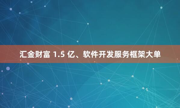 汇金财富 1.5 亿、软件开发服务框架大单