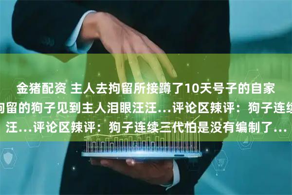 金猪配资 主人去拘留所接蹲了10天号子的自家狗子，因为误咬老头被拘留的狗子见到主人泪眼汪汪…评论区辣评：狗子连续三代怕是没有编制了…