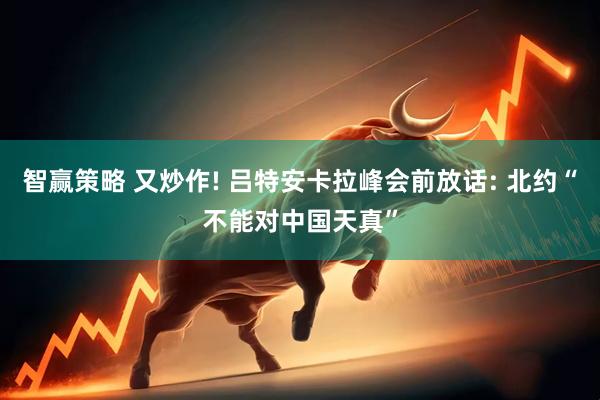 智赢策略 又炒作! 吕特安卡拉峰会前放话: 北约“不能对中国天真”